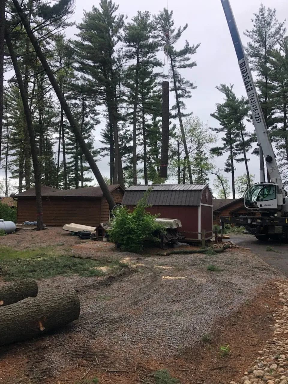 Logs and ground cleanup after tree service near a cabin.