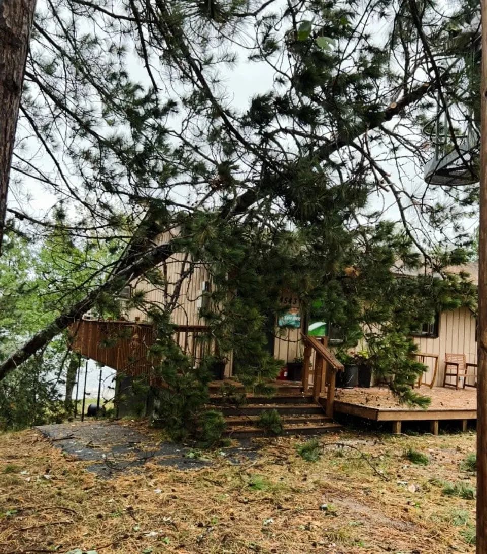 Tree work near a home in a wooded Brainerd Lakes Area setting.